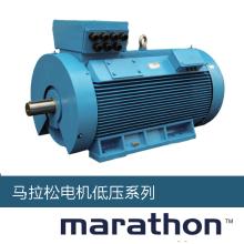 55KW Marathon馬拉鬆電機（jī）